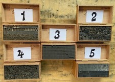 Vignetten Schmuck Buchdruck